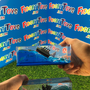 Ship In A Bottle Fidget Toy